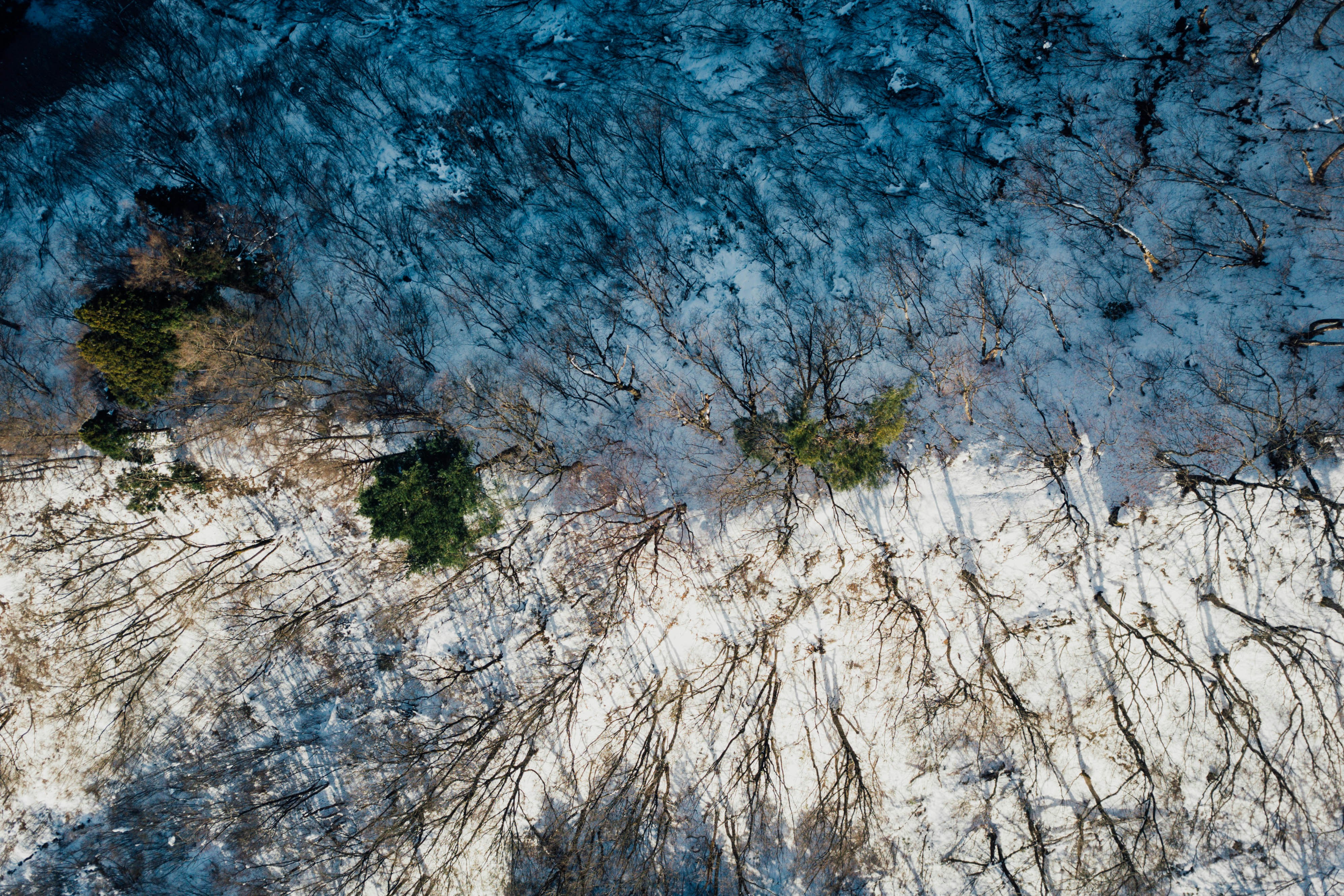 Photo by chuttersnap