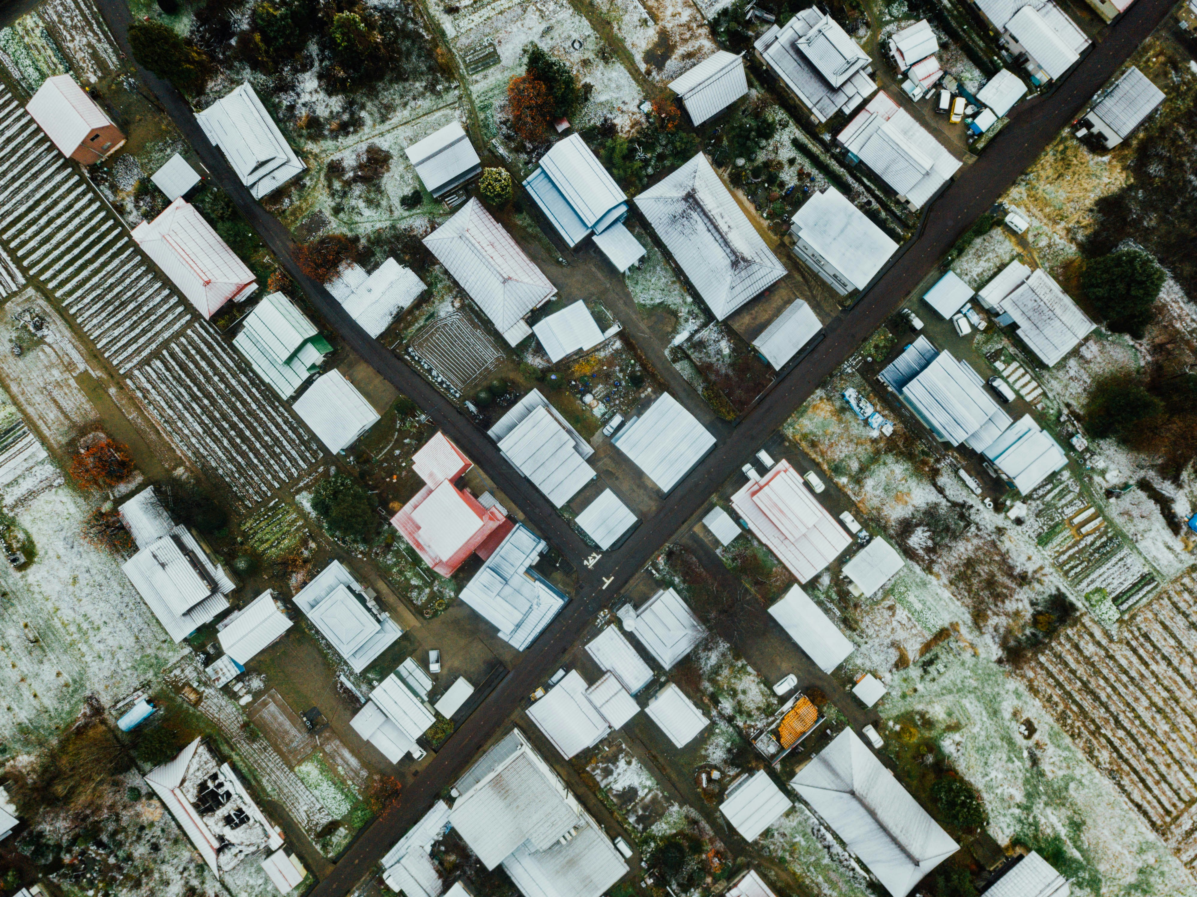 Photo by chuttersnap