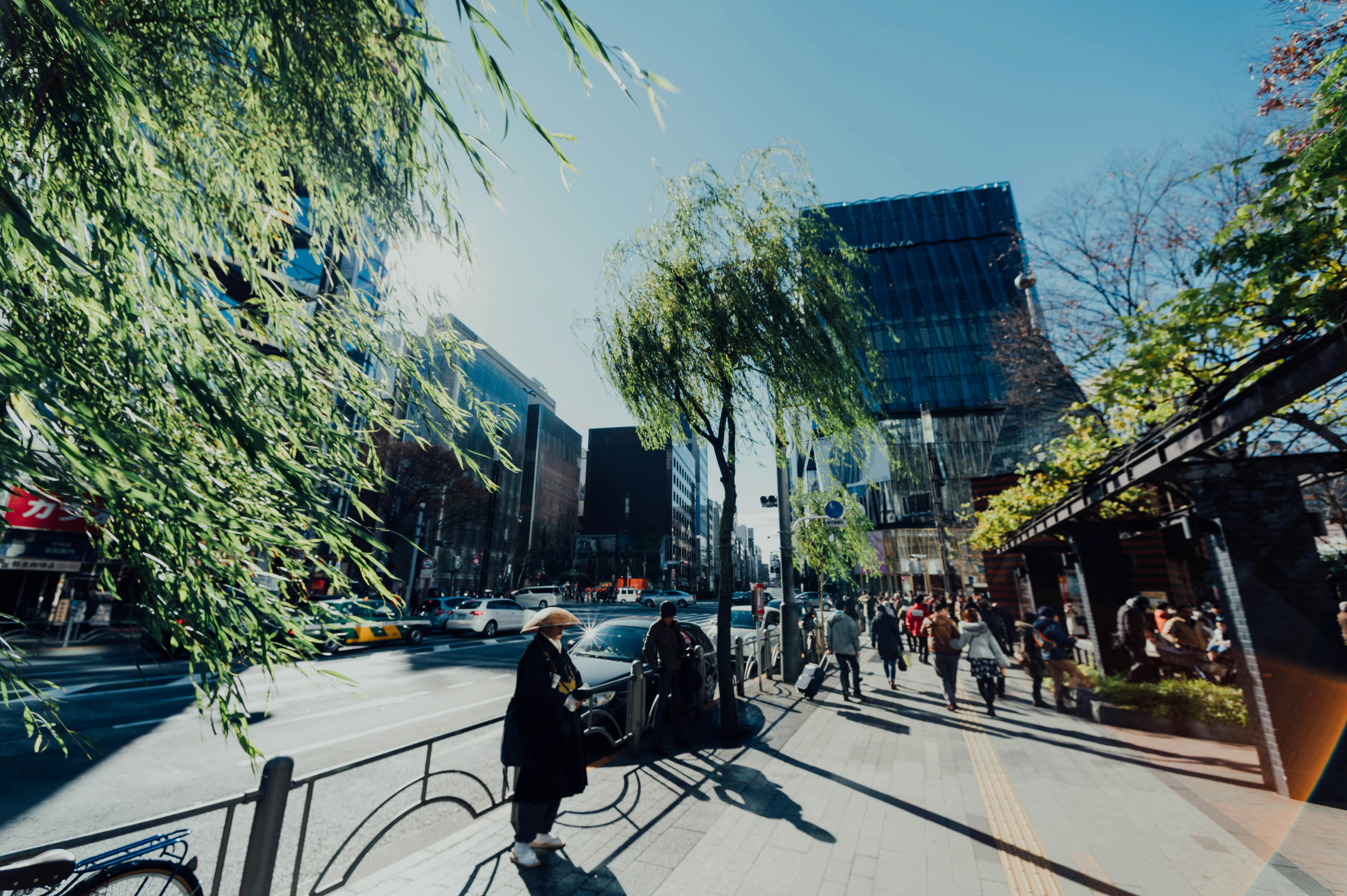 A vibrant streetscape featuring modern infrastructure.