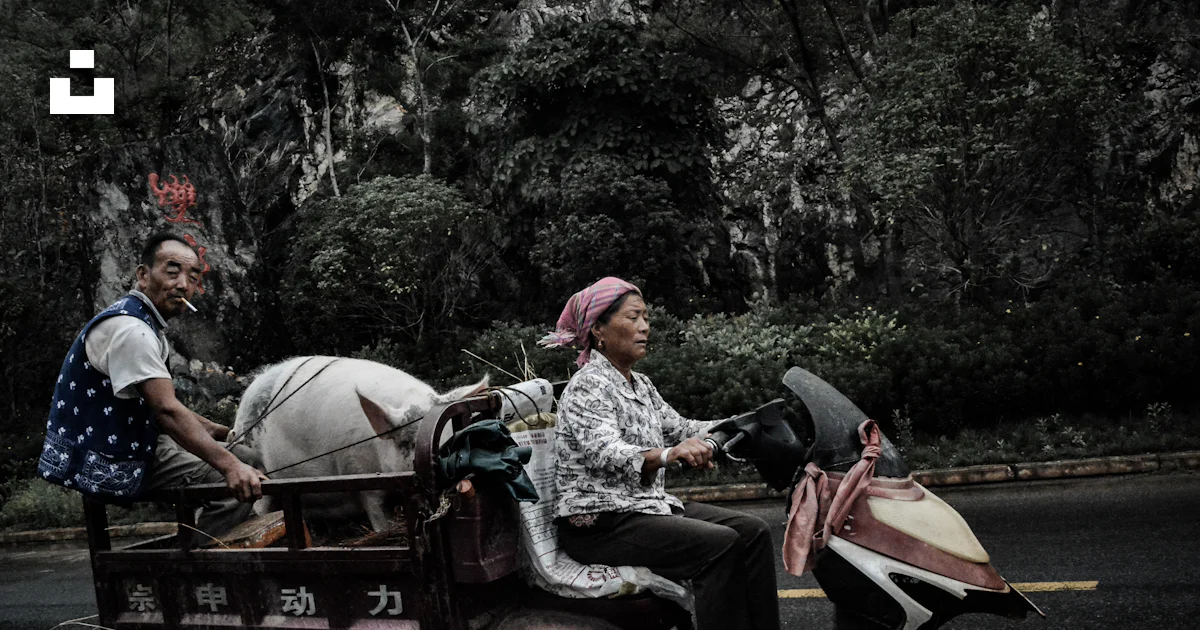 Woman riding on auto rickshaw photo – Free Grey Image on Unsplash