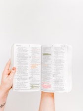 opened Holy Bible