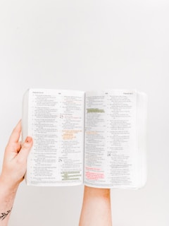 opened Holy Bible