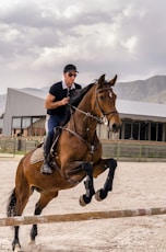 man wearing black cap riding brown horse