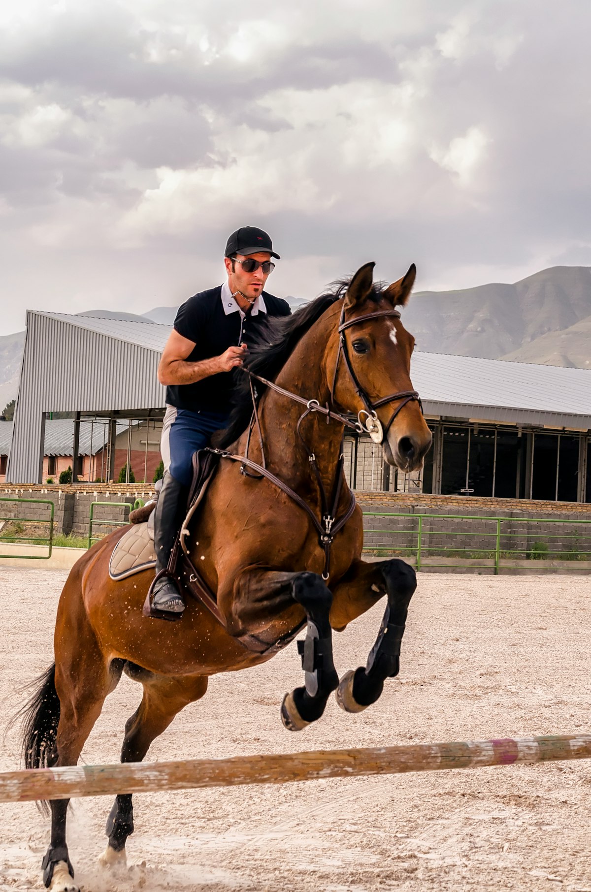 Winter Equestrian Festival