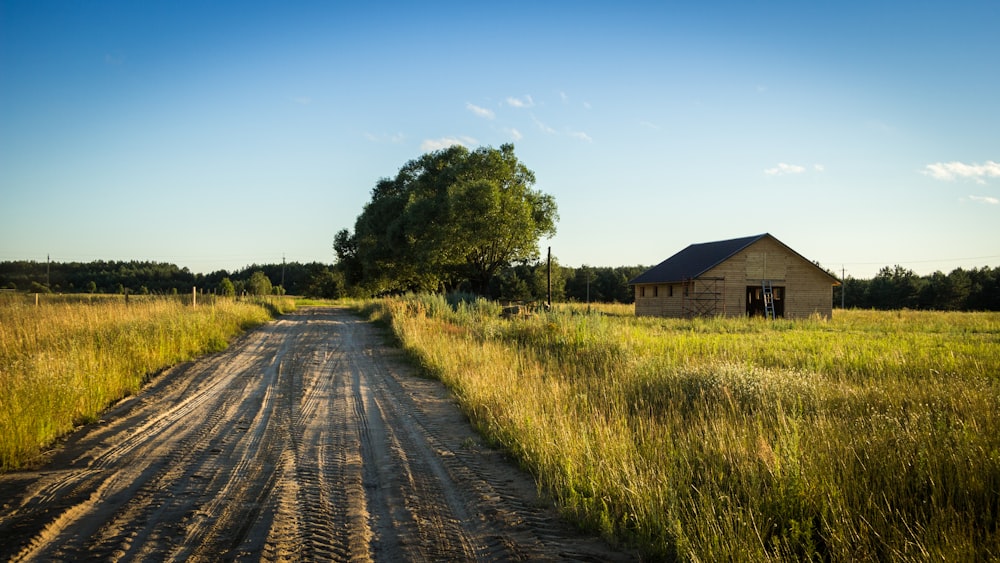 brown and blue barn house