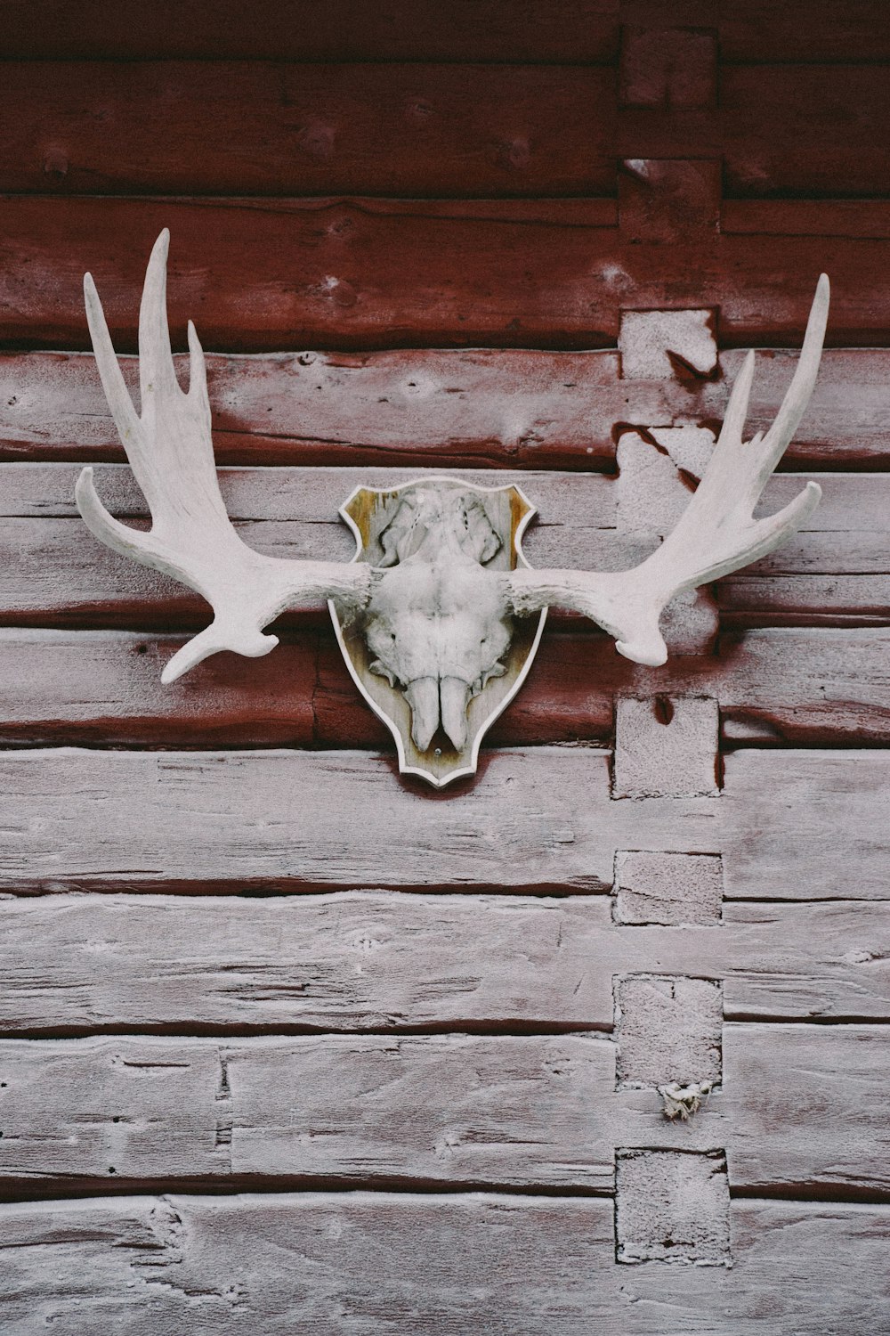 mur en bois brun