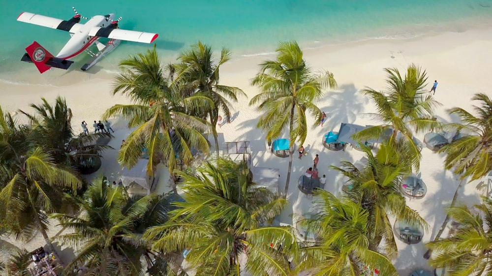 white and red plane flying across seashore