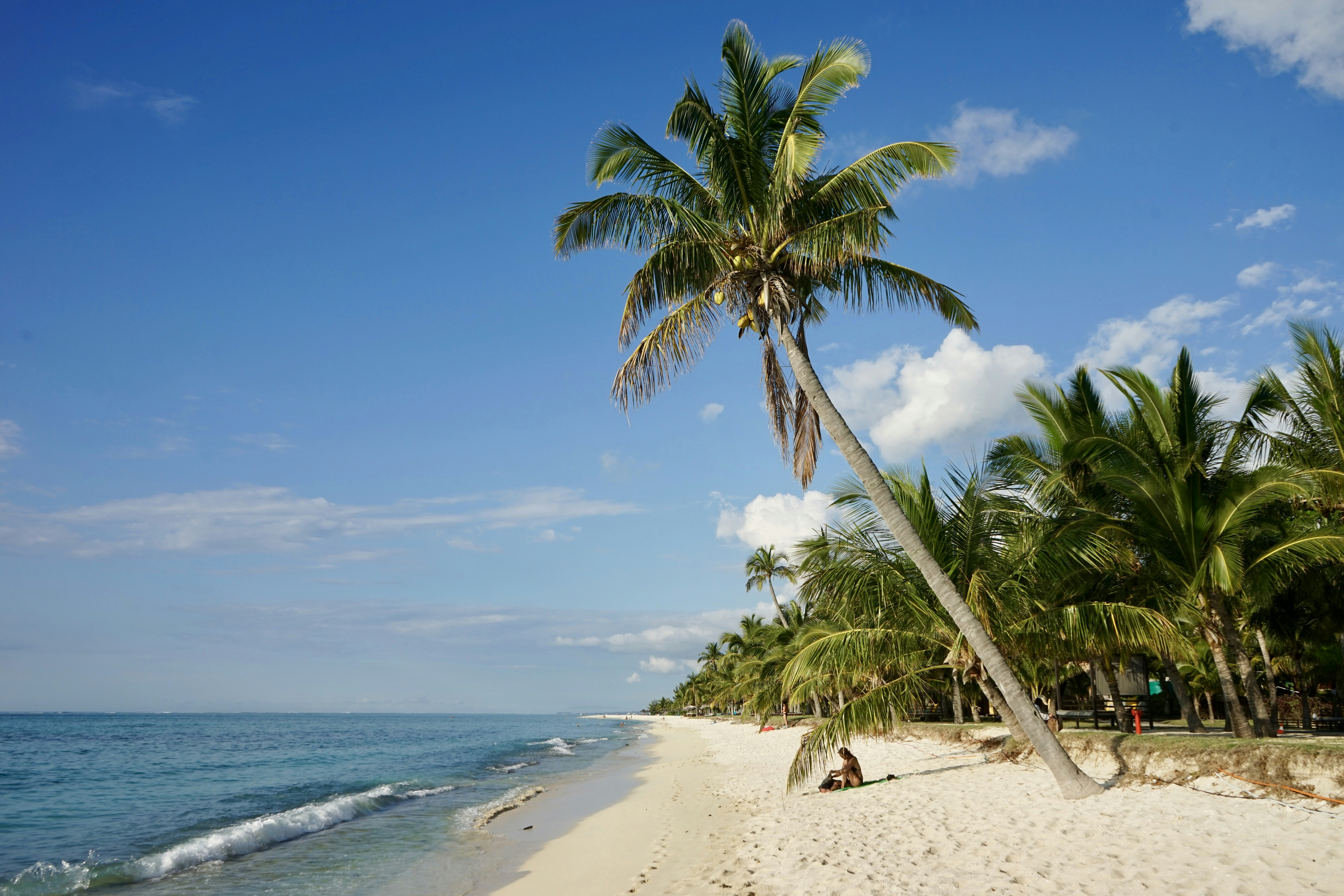 Tropical beach with palm trees and clear water