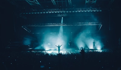 silhouette photography of concert