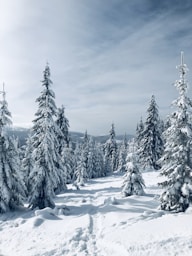best winter destinations in 2025