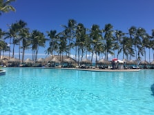cottages near coconut trees
