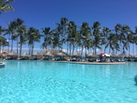 A serene image of a luxury resort pool surrounded by palm trees and clear blue skies.