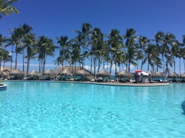 cottages near coconut trees