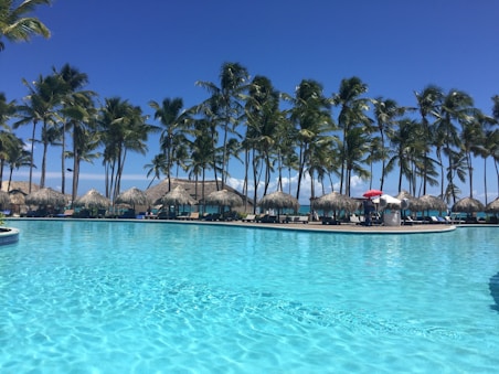 cottages near coconut trees