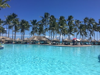 cottages near coconut trees