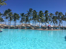 cottages near coconut trees