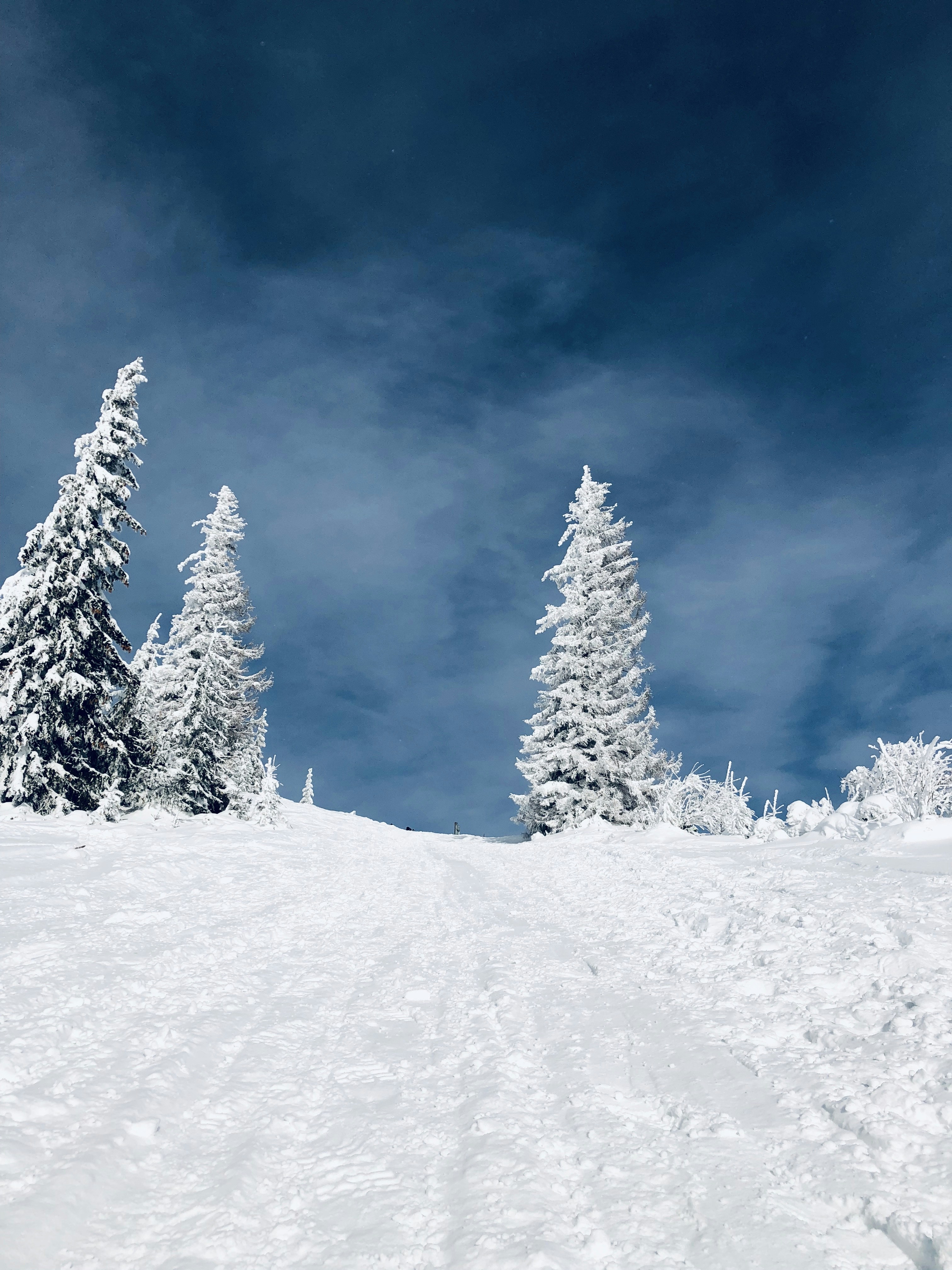 green mountain under white sky photo Free Grey Image on Unsplash