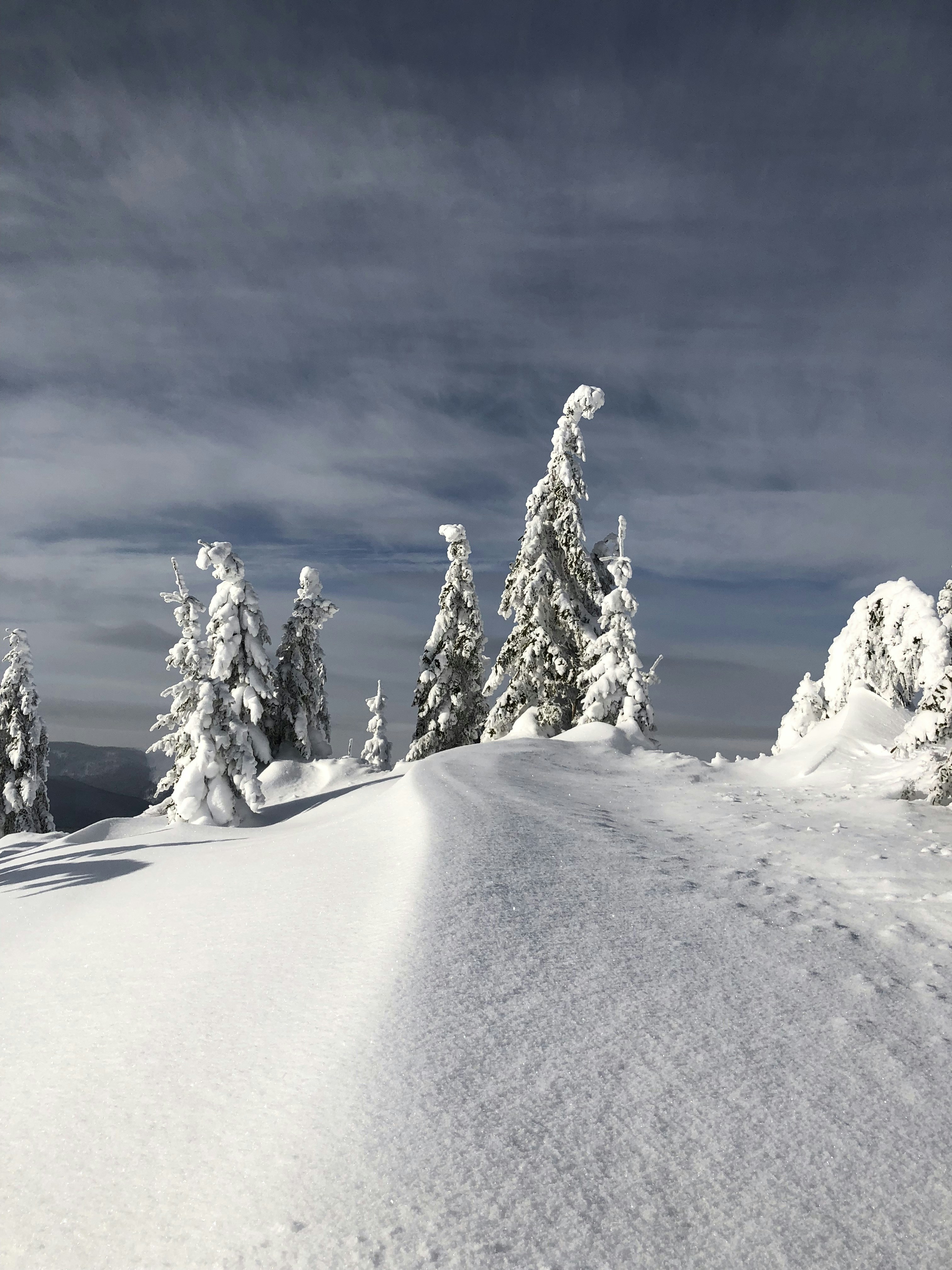 Photo by alldaybradley