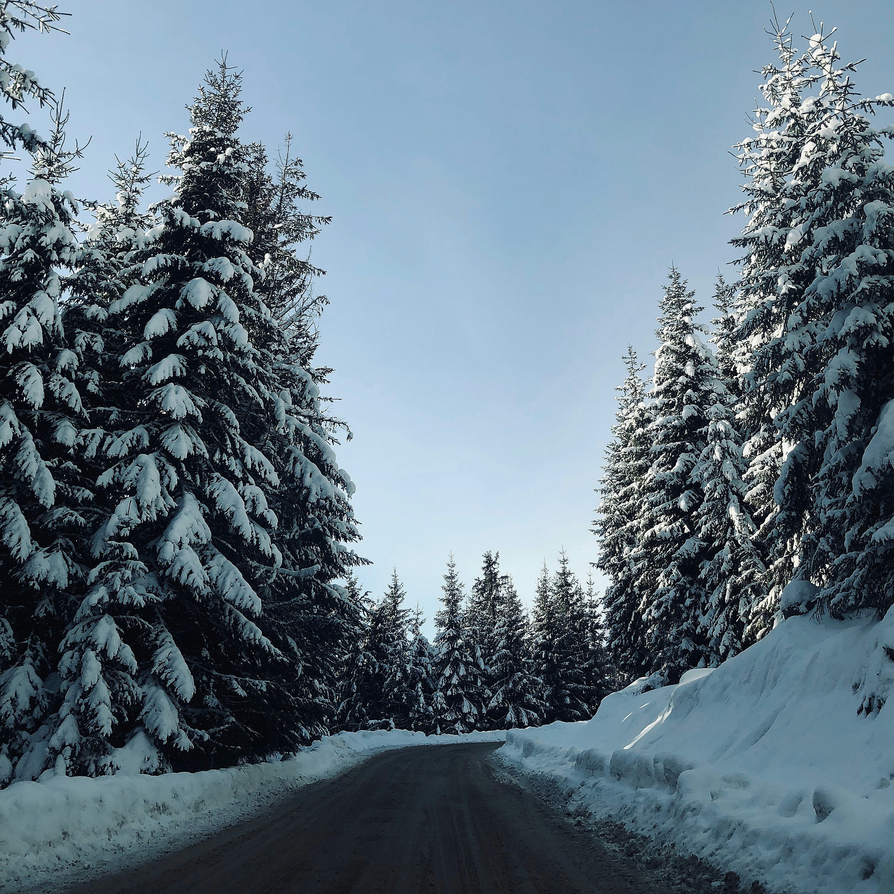 Photo by alldaybradley