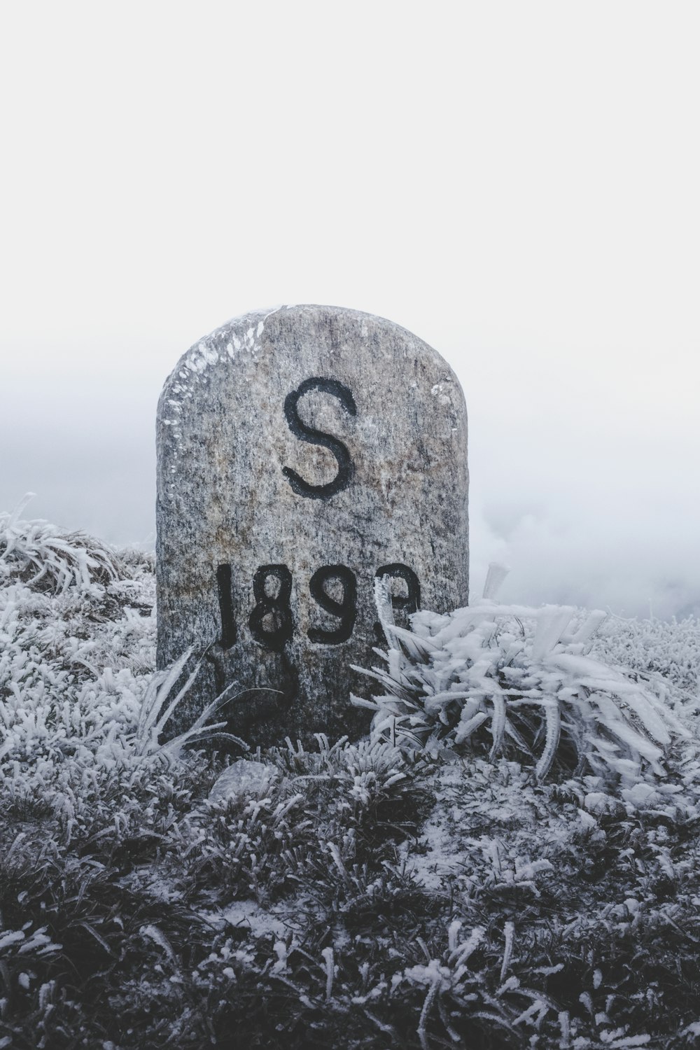 gray and black S1899 tombstone