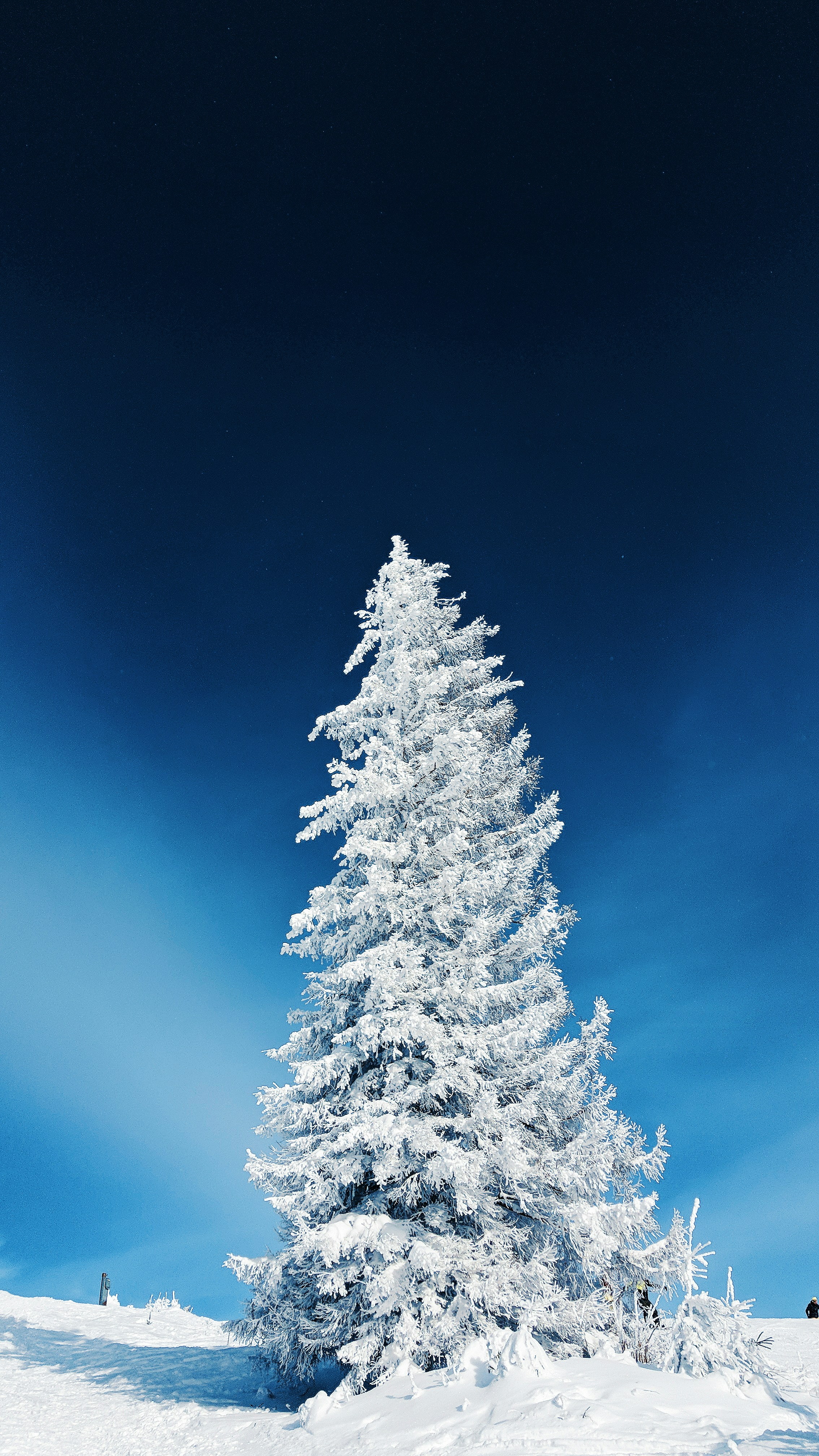 Photo by laurence_gld