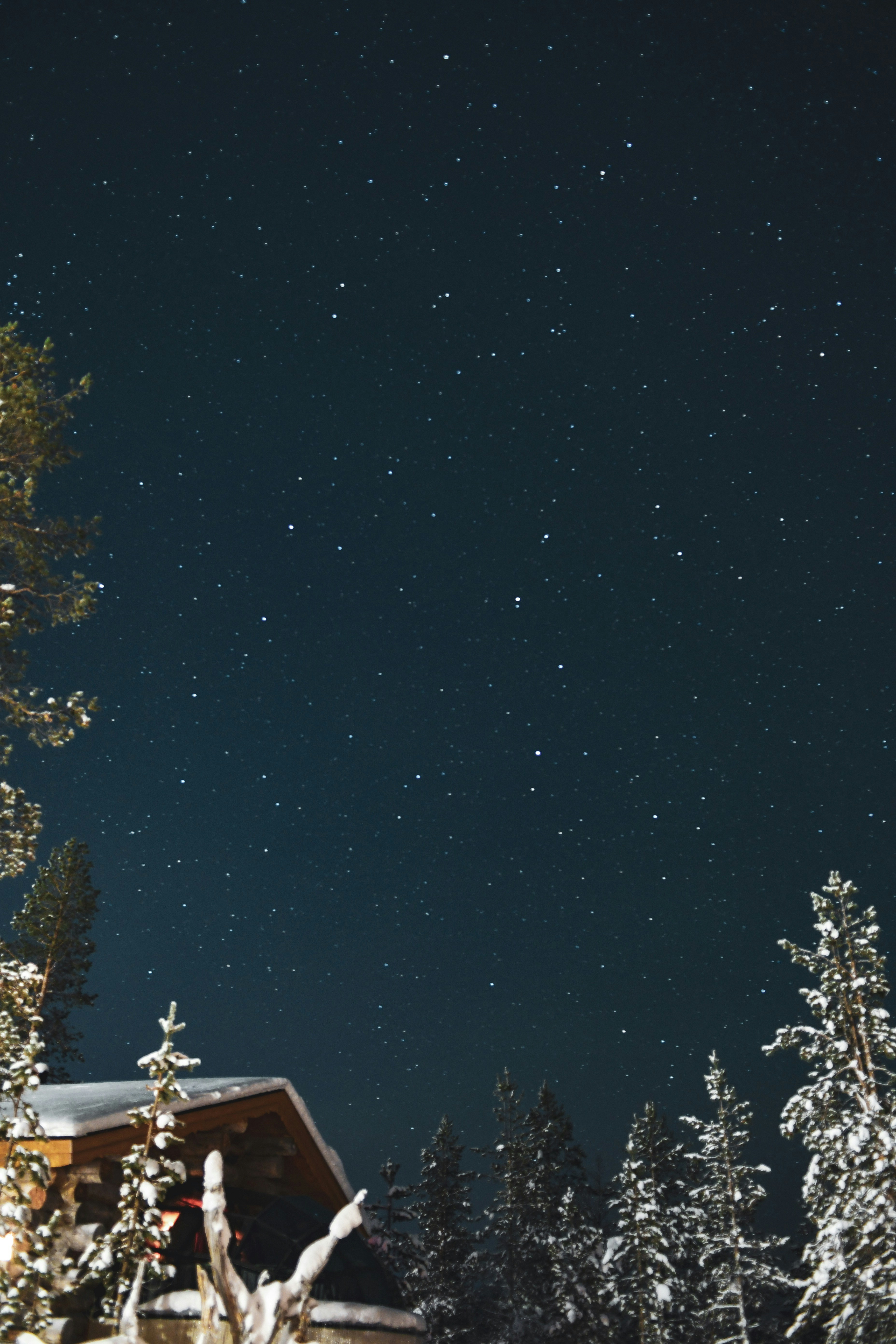 Classic Holiday Cheer