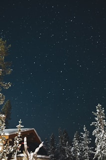 A starry night sky above a tranquil cabin setting.