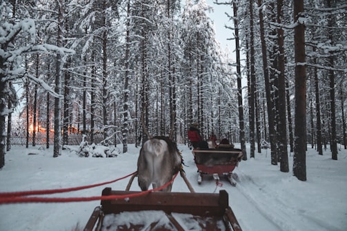 A winter sleigh ride through snow-covered forests, with joyful travelers bundled up in warm clothes.