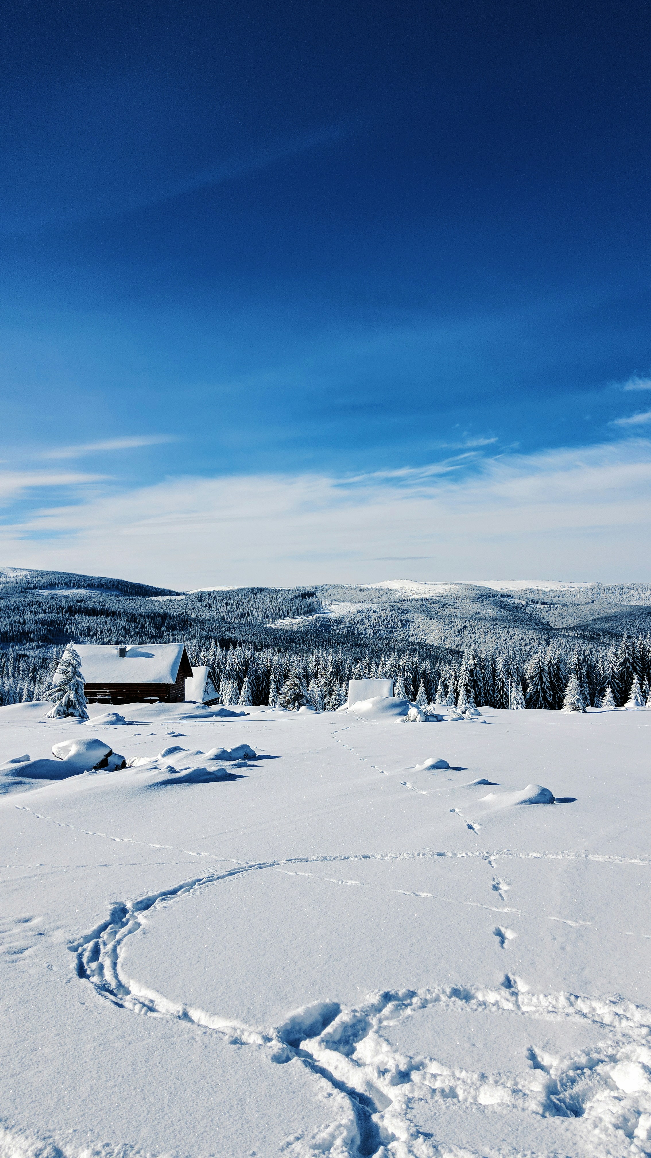 Photo by laurence_gld