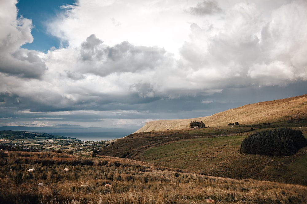 green and brown hills during cloudy day