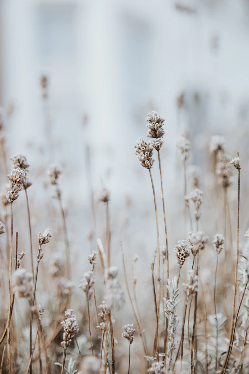Kulit Buku Warisan Seni Ukiran Kayu Rumah Limas Johor