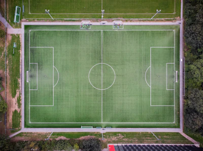 A well-maintained natural grass soccer field with clear white lines.