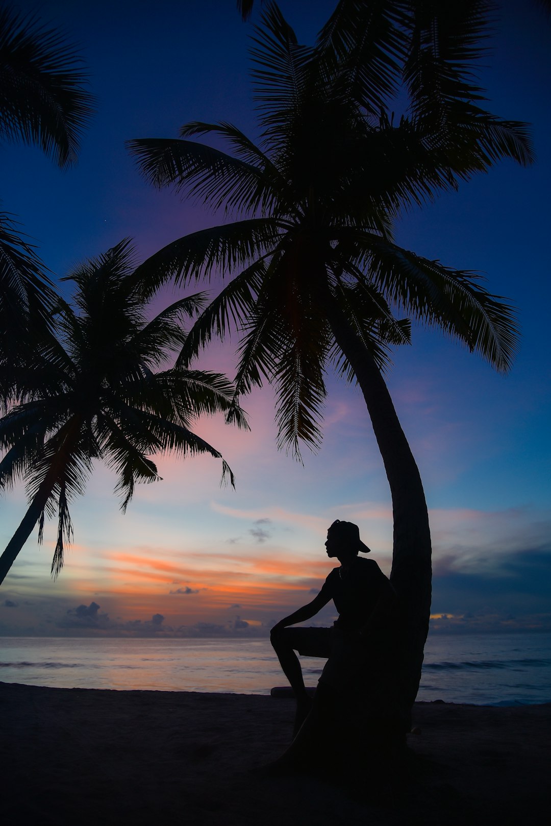 silhouette of man standing beside palm tree