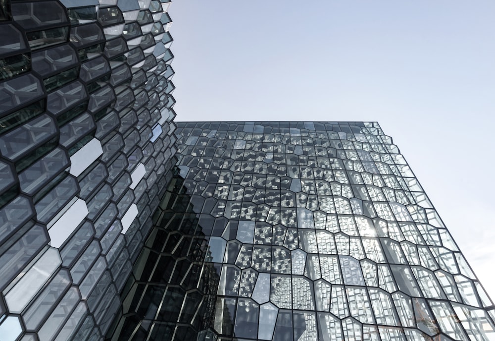 low-angle photo of glass building