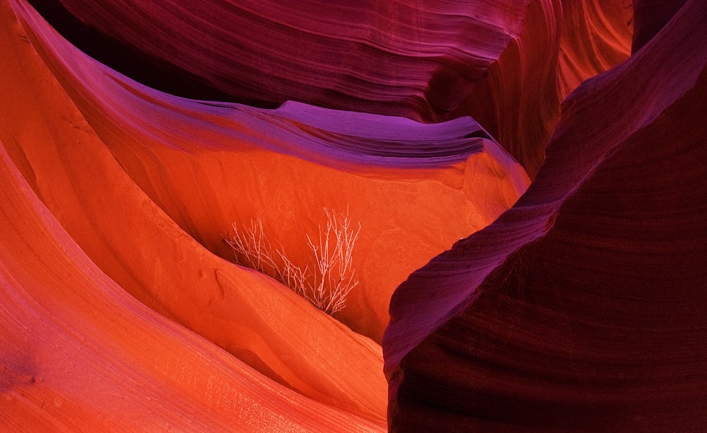 close-up photo of brown rock formation