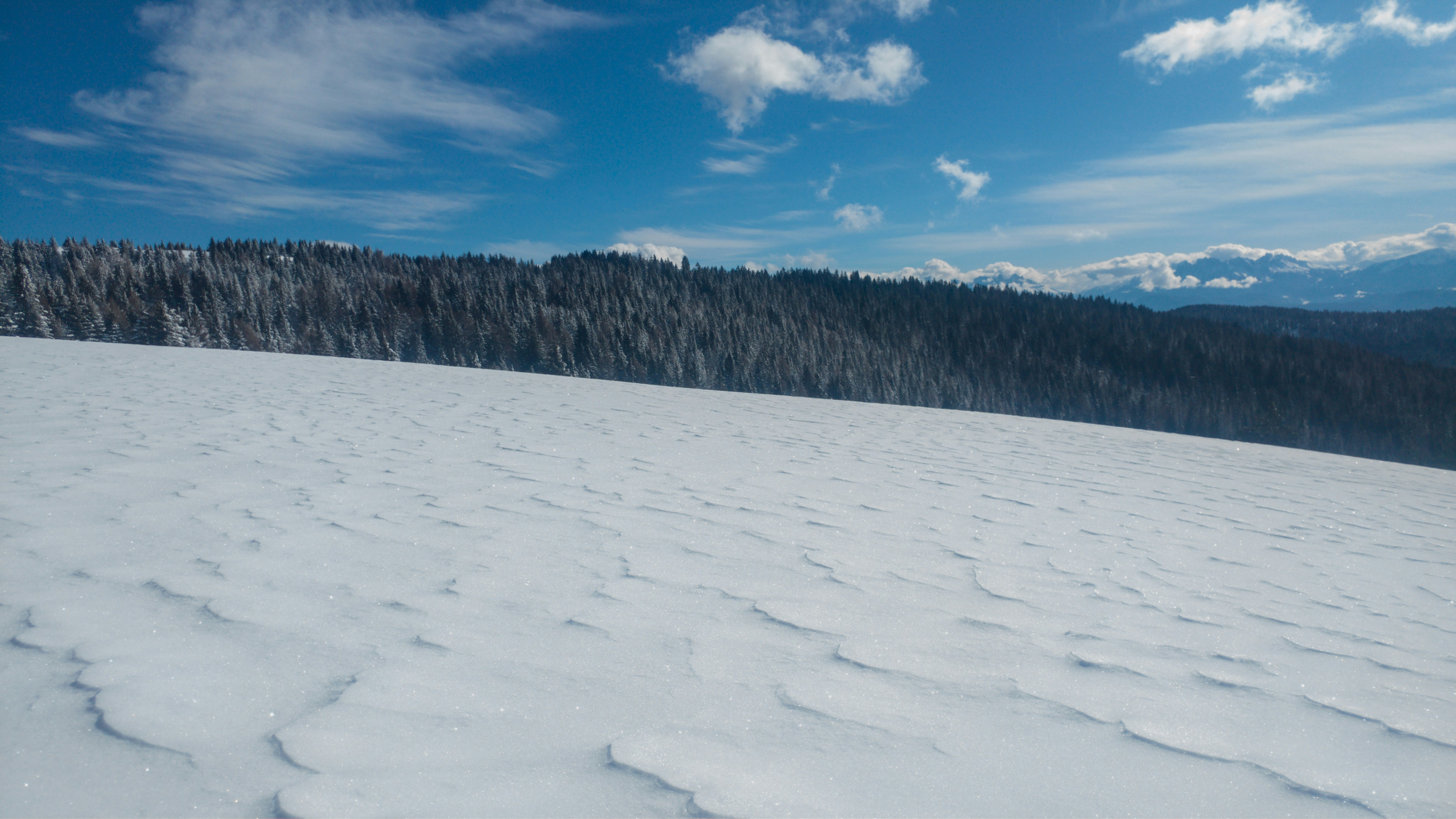 Photo by martial_sandstorm