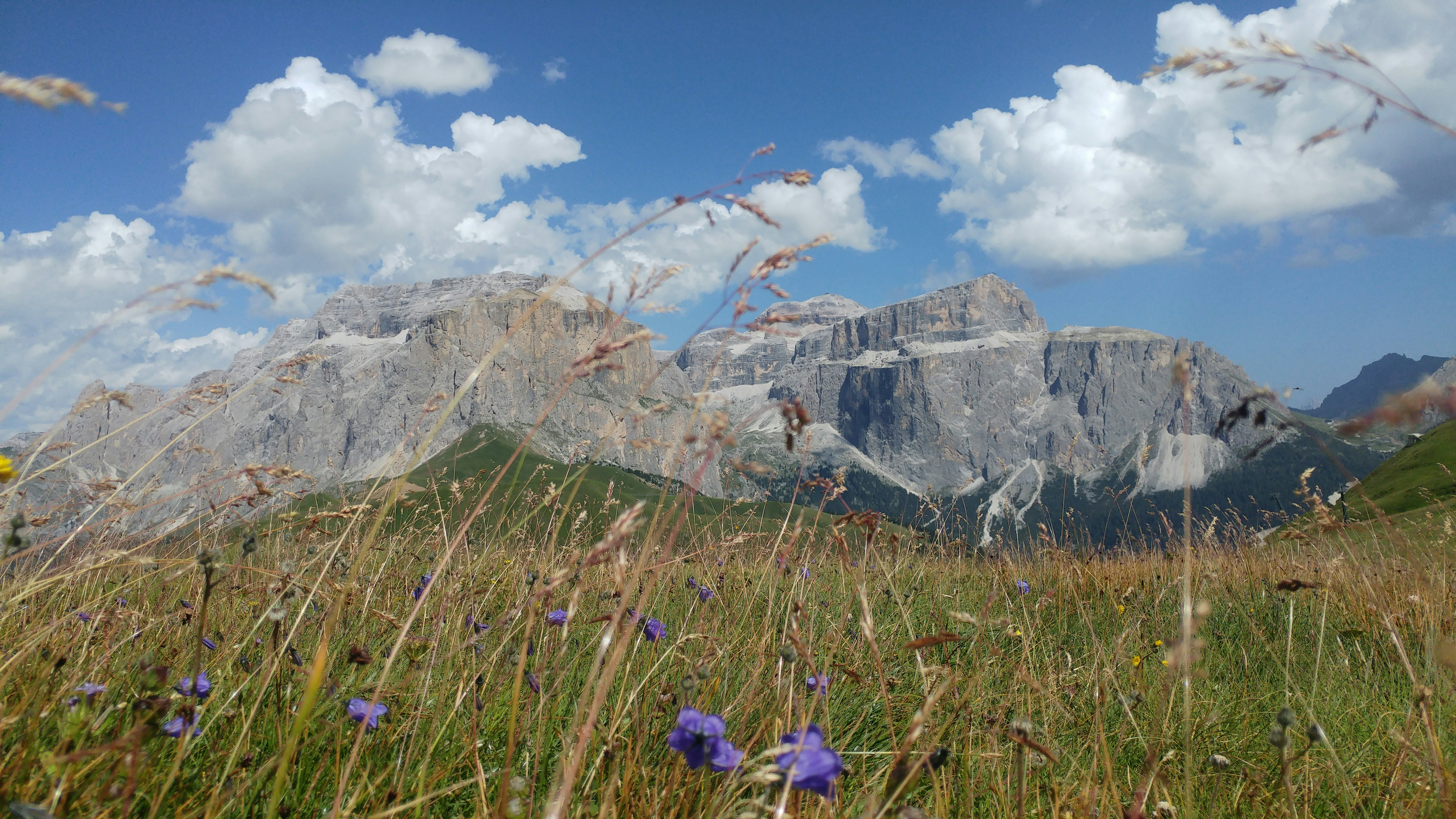 Photo by martial_sandstorm