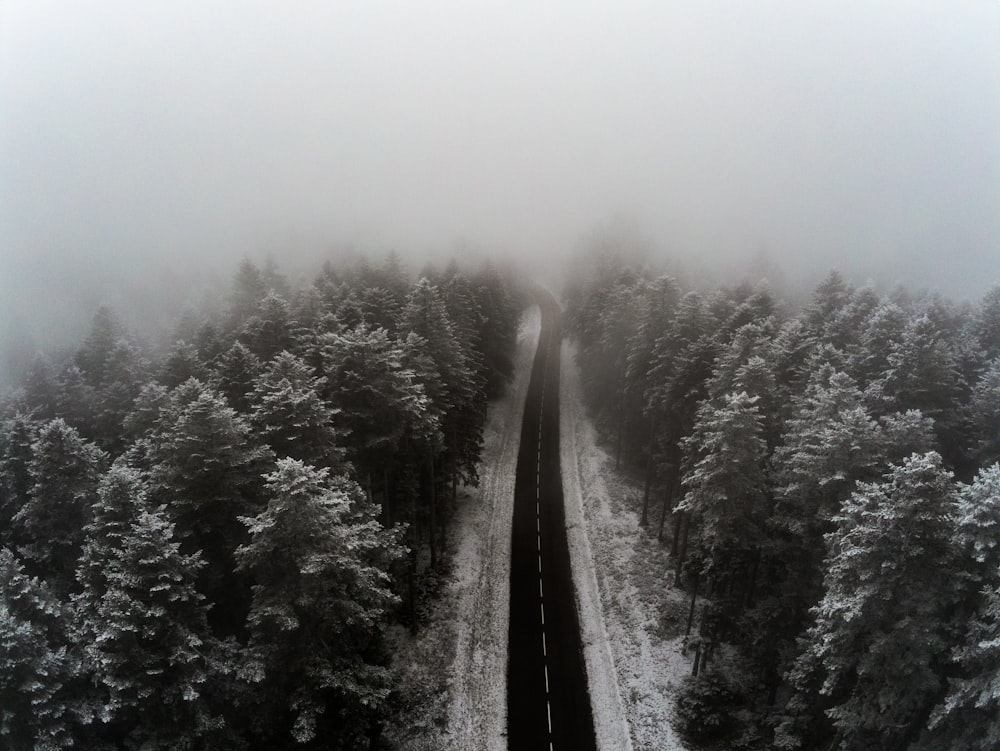 grayscale photo of empty roadway