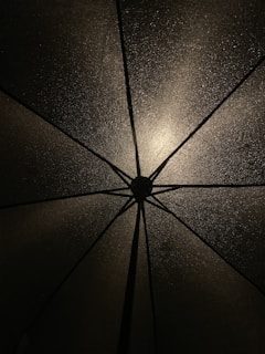 A detailed view of the umbrella's surface texture and design.
