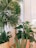 A collection of lush green indoor plants in large planters, surrounded by tall vertical blinds and a glass window. The space is bright and likely part of an indoor room with ample natural light.