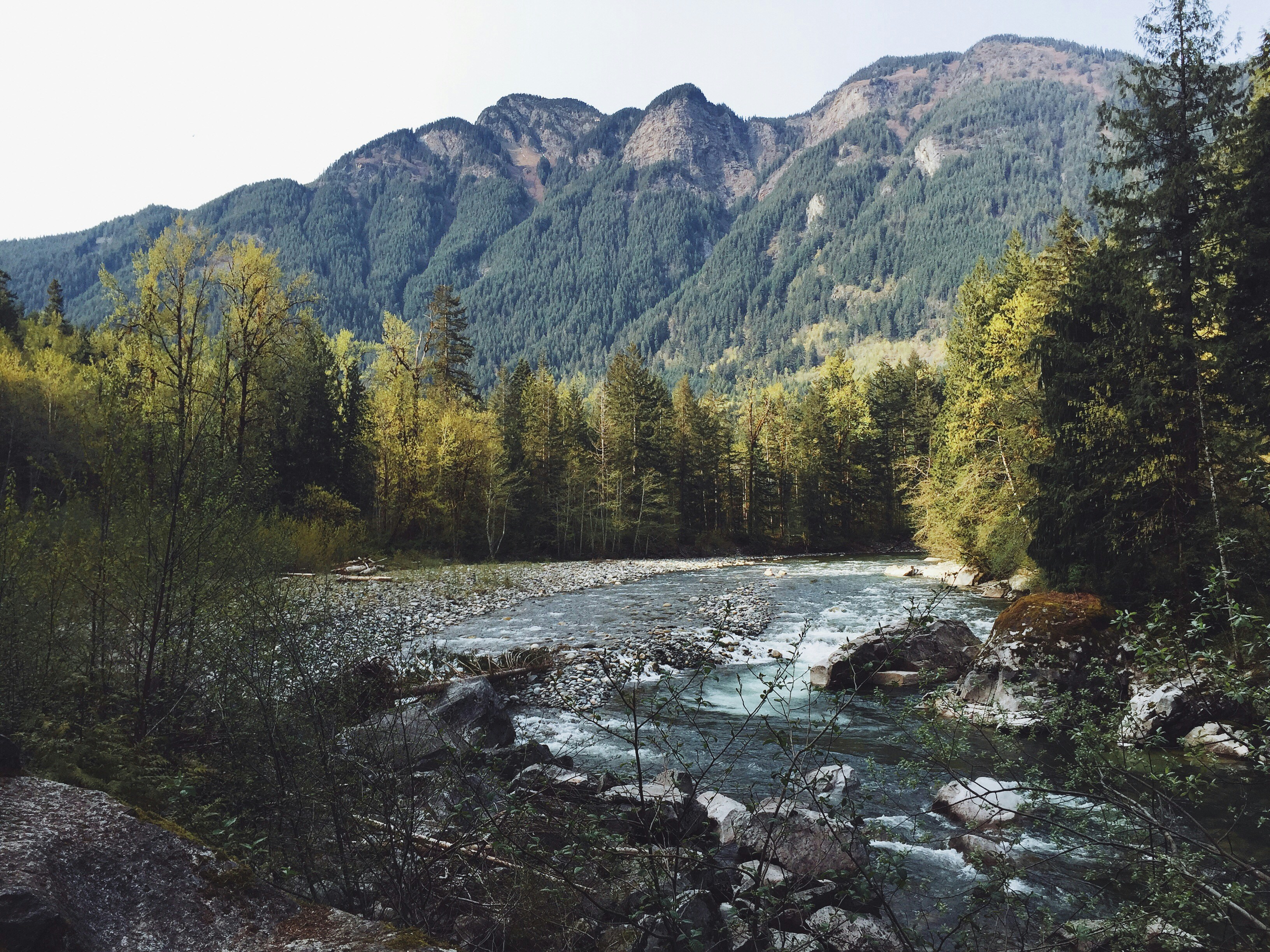 New Hope for MS Care: Advances in China Explained