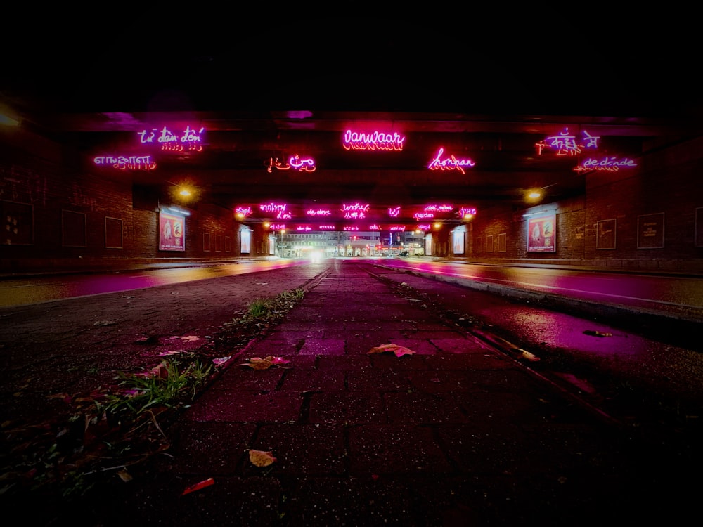 pathway with LED signage during night time