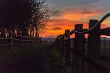 A peaceful sunset view over the farm’s dirt biking area with riders enjoying the trails.