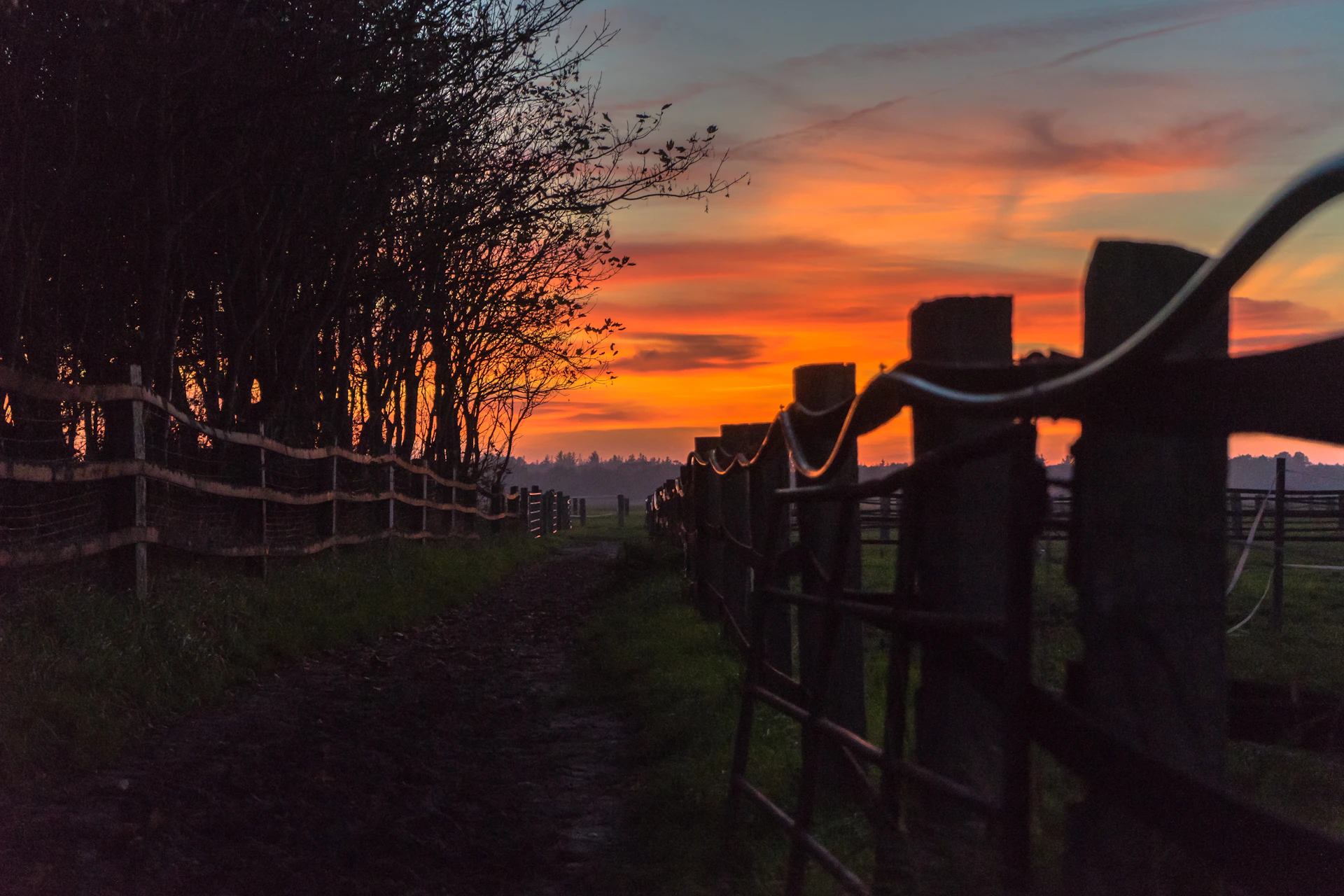 A vibrant sunset over a quiet countryside road, evoking the quiet moments and emotional depth found in cinefable's short story subjects.
