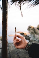 person holding cigarette stick