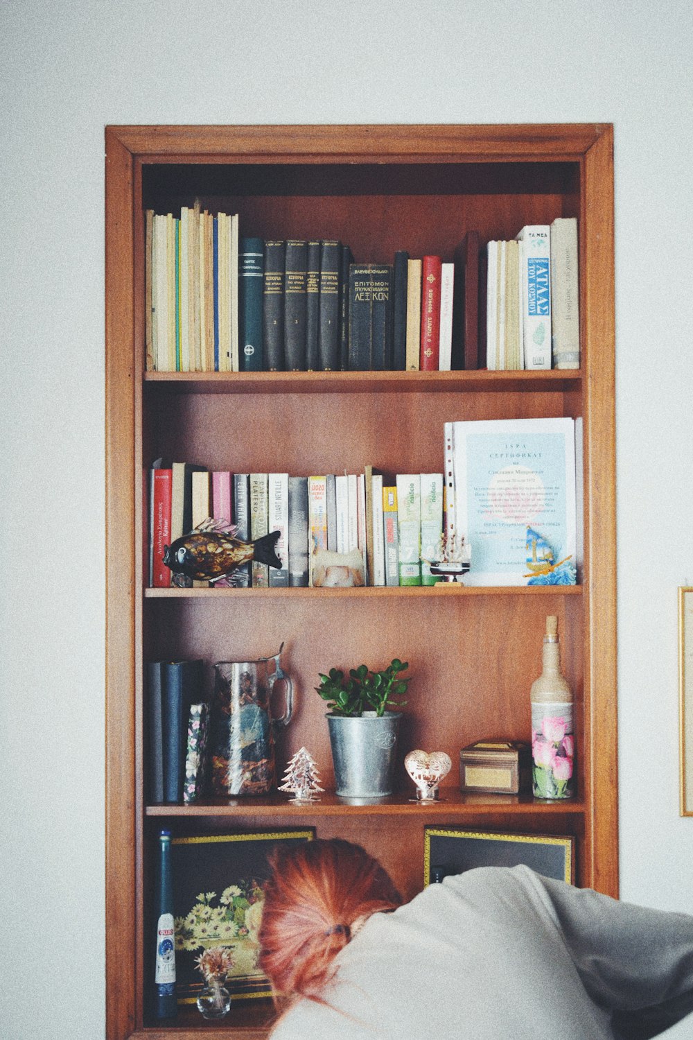 assorted books in shelf