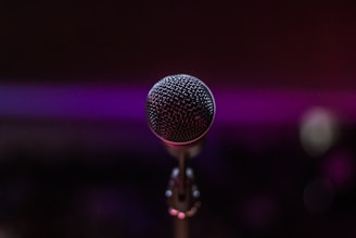 gray microphone