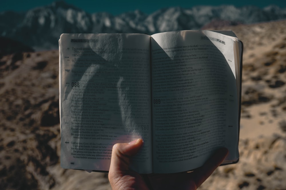 shallow focus photo of person holding book