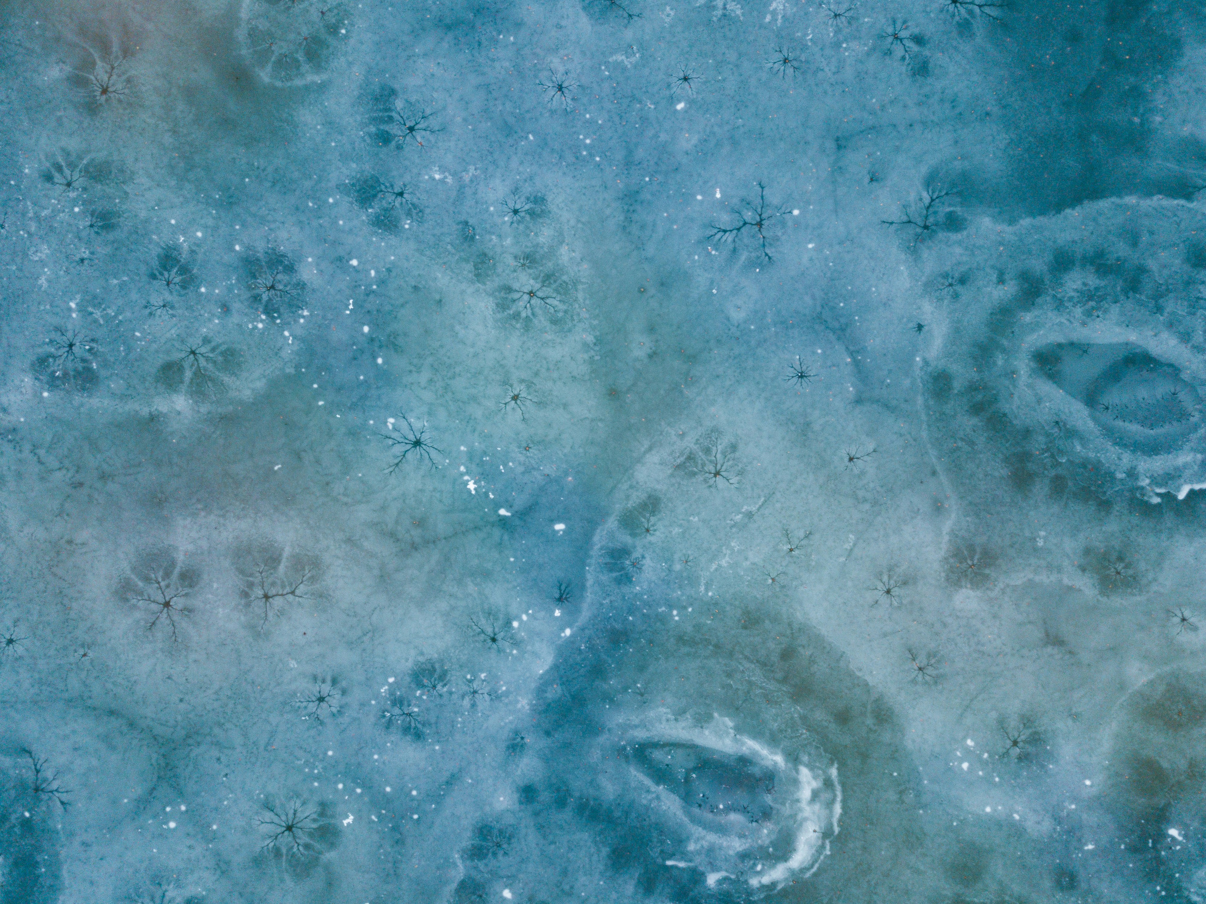 Photo by aaronburden