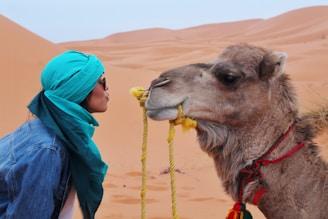 woman wearing blue jacket facing brown camel